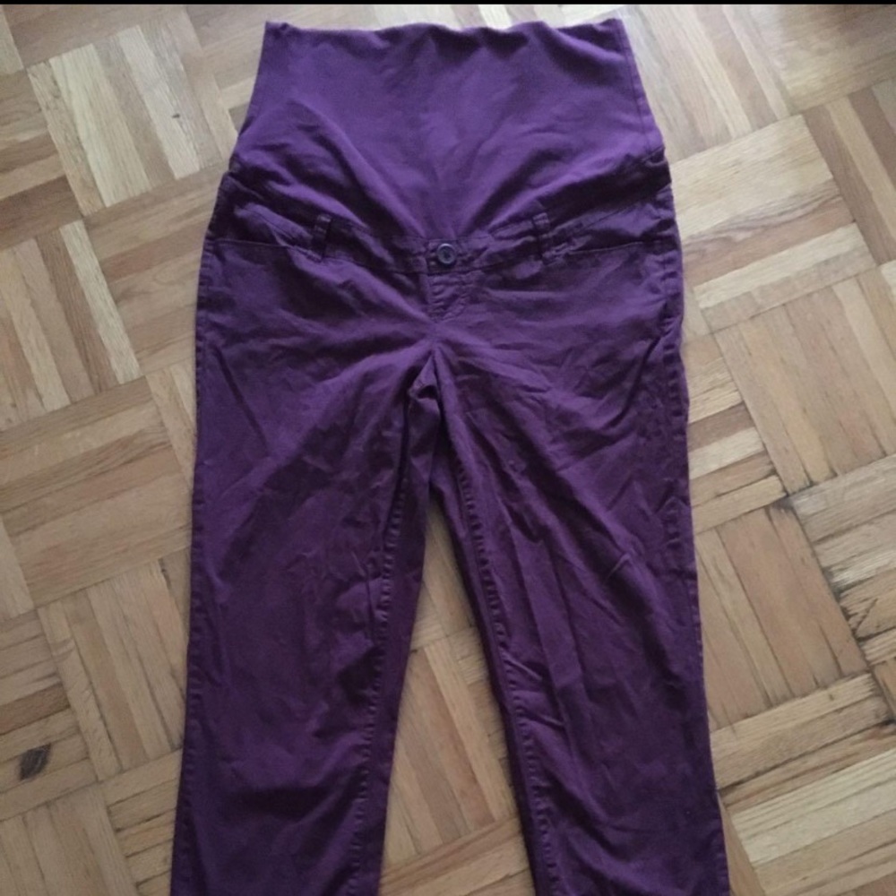 Purple cargo thyme Capri